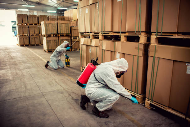 Best Exterminator Services  in Summersville, WV